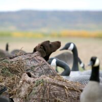 Traditions en plein air 