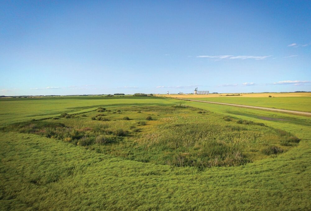 La transformation révélée au grand jour : grâce au financement de la Fondation Coca-Cola, on peut restaurer ce milieu humide des Prairies, non loin de Strathclair au Manitoba, pour en faire fructifier tout le potentiel.