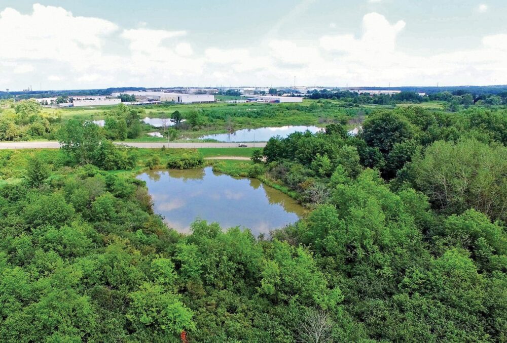 Brick Ponds, un projet de conservation en partenariat à Woodstock, Ont. (https://www.ducks.ca/stories/conservator/the-woodstock-urban-wetland-restoration-model/)