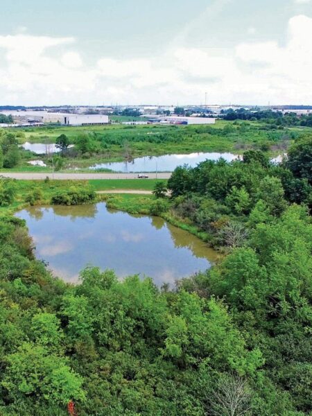 Quand les forces de la nature répondent aux forces de la nature