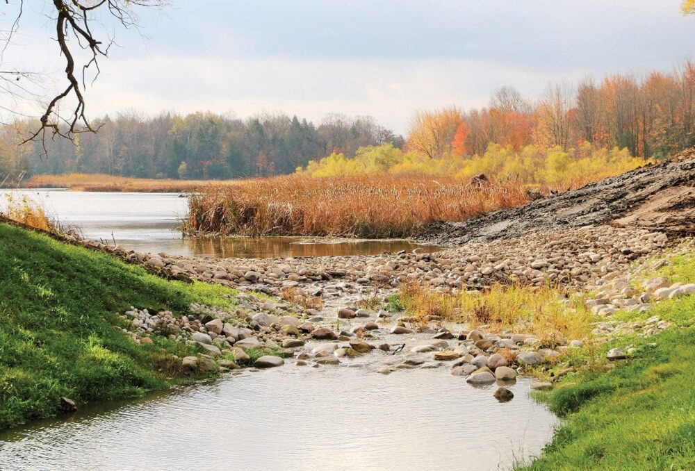 Grâce aux travaux de restauration de CIC et de ses partenaires, Cedar Creek a repris sa vocation originelle de cours d’eau : son lit est jonché de roches et de rondins qui font de l’ombre pour les poissons et qui permettent aux tortues de se prélasser au soleil.