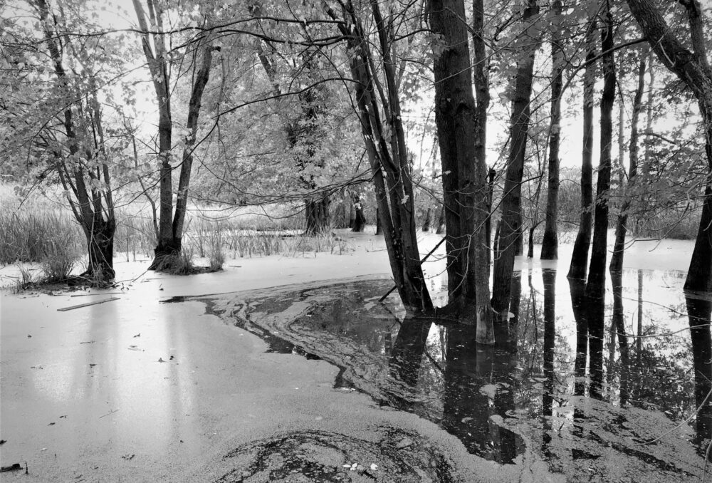 Refuge faunique Marguerite-d’Youville