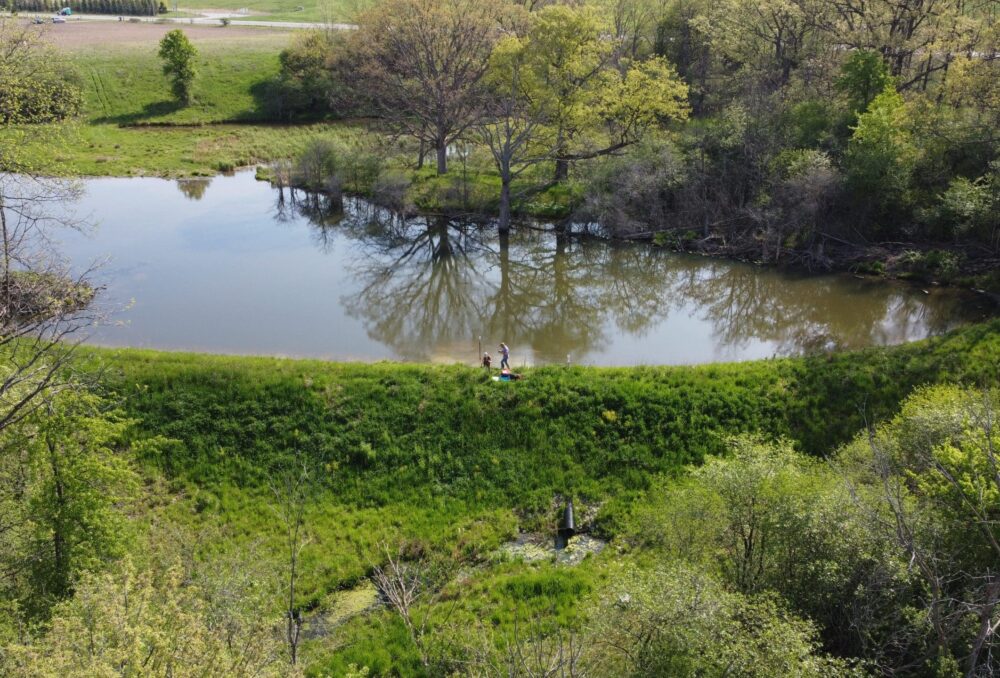 Milieu humide en bordure de champ dans le sud-ouest de l'Ontario.