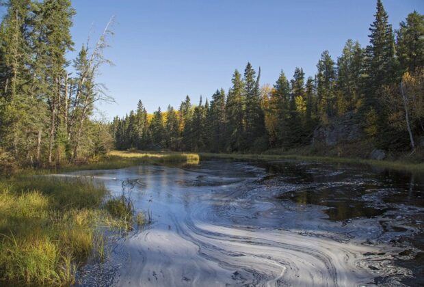 CONSERVER 22 MILLIONS D’HECTARES DE MILIEUX HUMIDES DE LA FORÊT BORÉALE DU MANITOBA