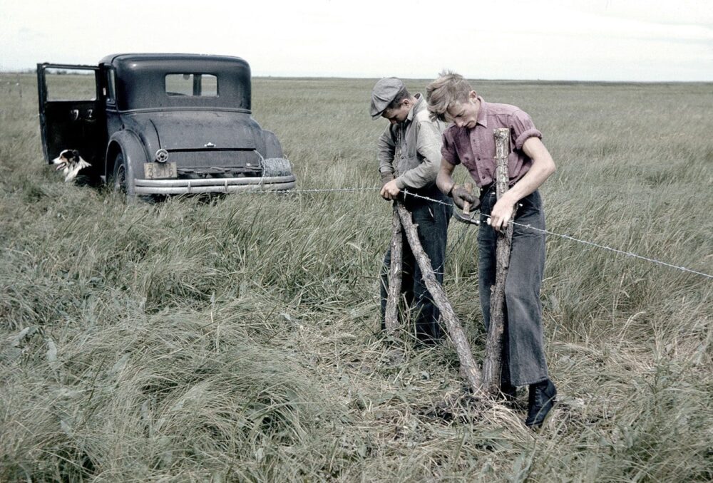 Des travailleurs installent une clôture, au début des années 1940, dans le marais Big Grass au Manitoba : il s’agissait du tout premier projet de conservation des milieux humides de CIC.