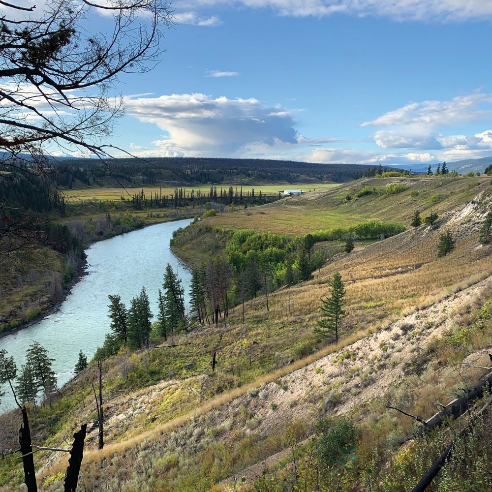 Le ranch Handy Meadow offre à la sauvagine toutes sortes d’habitats. Les prés de cariçaie indigène sur le domaine privé, qui sont cultivés par l’Hanceville Cattle Company, offrent un habitat de fourrage baigné d’eaux peu profondes pour la migration printanière; les pâturages des terres de la Couronne sont riches en milieux humides permanents en eau libre, qui assurent l’habitat de reproduction.