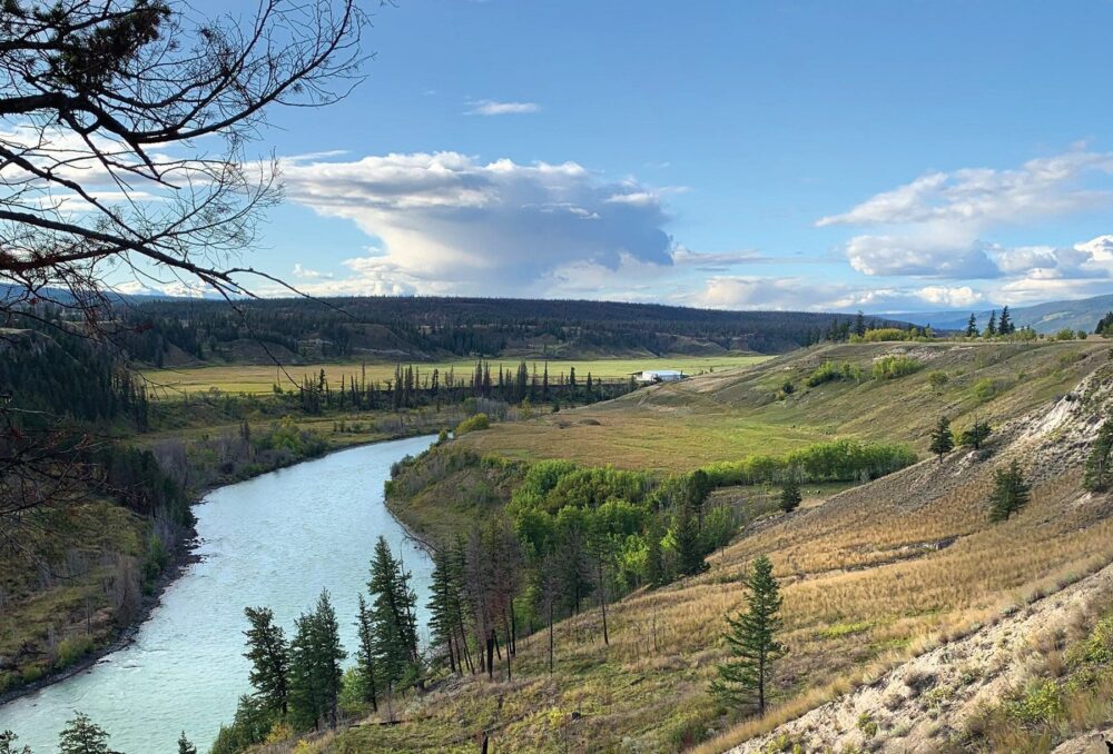 Le ranch Handy Meadow offre à la sauvagine toutes sortes d’habitats. Les prés de cariçaie indigène sur le domaine privé, qui sont cultivés par l’Hanceville Cattle Company, offrent un habitat de fourrage baigné d’eaux peu profondes pour la migration printanière; les pâturages des terres de la Couronne sont riches en milieux humides permanents en eau libre, qui assurent l’habitat de reproduction.