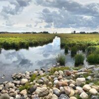 Naturalisation de site