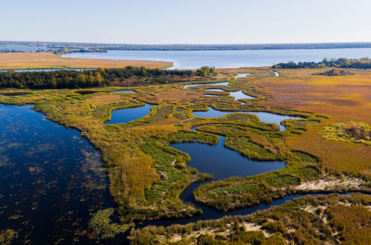 Clark island fall 2019