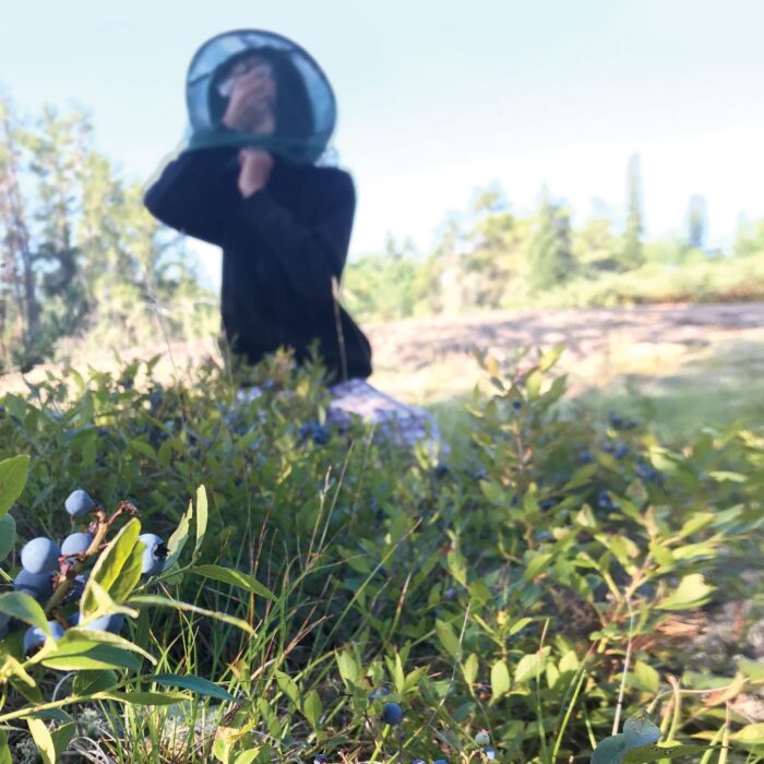 Le fils de Carolyn Kosheluk, Seth, mange une poignée de bleuets sous sa casquette à moustiquaire.