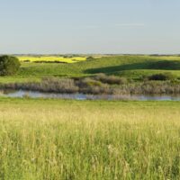 Le Programme de conservation du patrimoine naturel