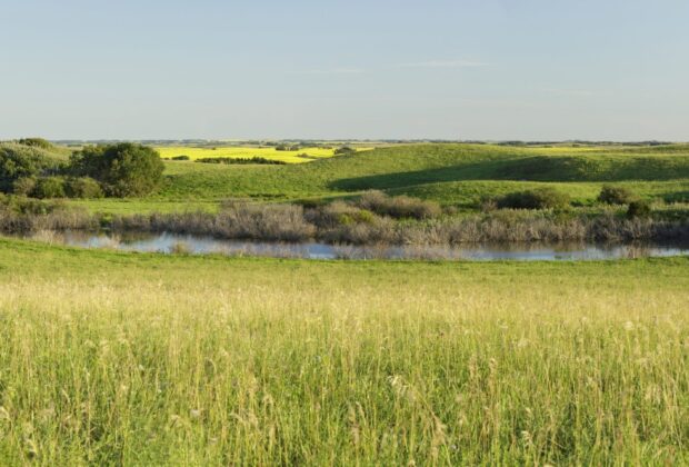 Le Programme de conservation du patrimoine naturel
