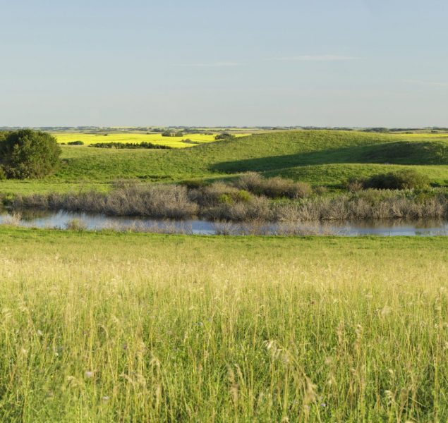 Le Programme de conservation du patrimoine naturel