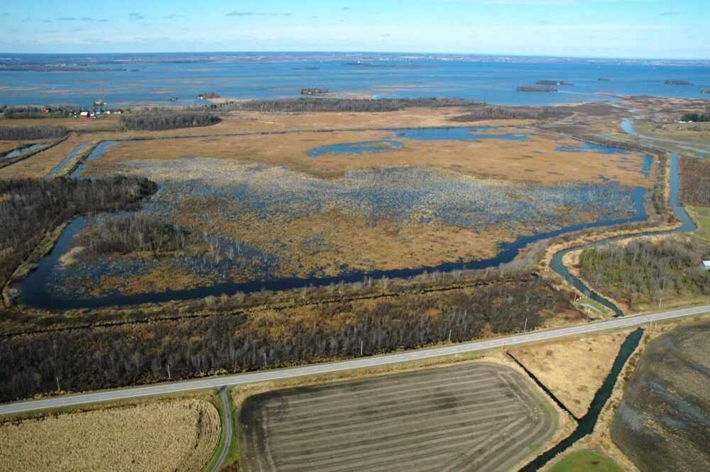 Le marais de la Digue-aux-Aigrettes fait peau neuve, fruit d’une collaboration étroite de Canards Illimités Canada et Environnement et Changement climatique Canada