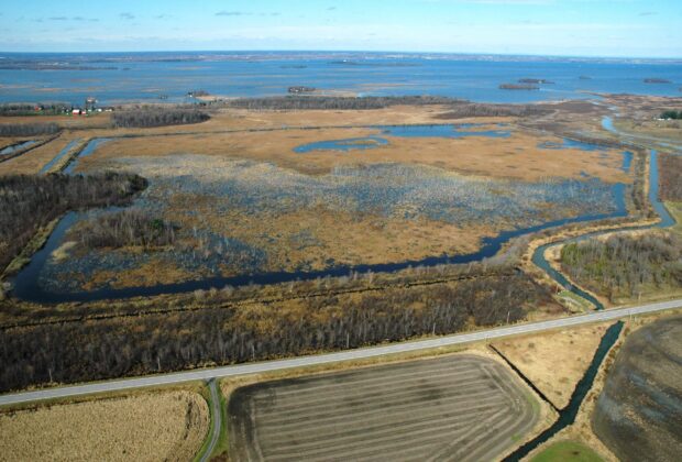 Le marais de la Digue-aux-Aigrettes fait peau neuve, fruit d’une collaboration étroite de Canards Illimités Canada et Environnement et Changement climatique Canada