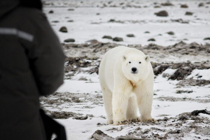 Churchill, au Manitoba