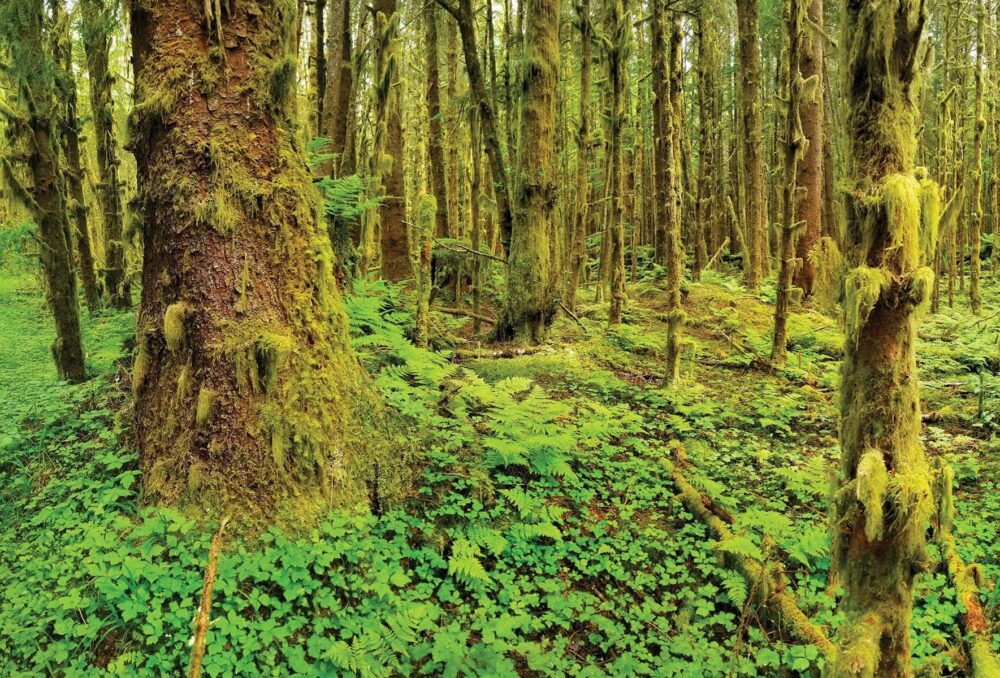 Haida Gwaii, en Colombie-Britannique