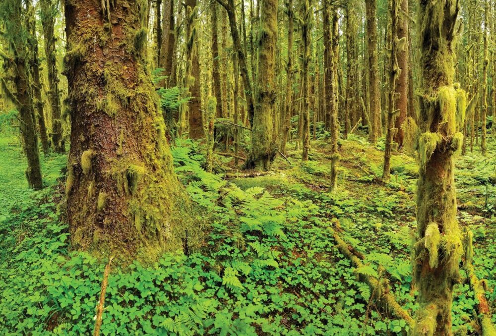 Haida Gwaii, en Colombie-Britannique