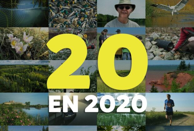 Le palmarès des 20 meilleurs articles de CIC en 2020