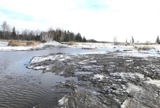 La refaunisation de la Rivière du Nord