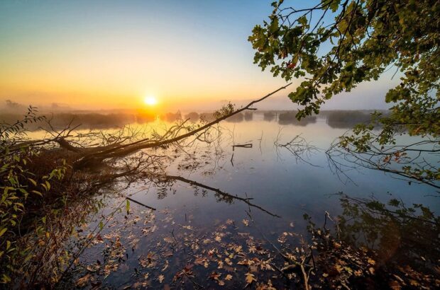 Ducks Unlimited Canada wetland, sunset