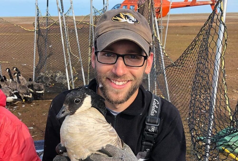 Mitch Weegman tient dans ses mains une bernache de Hutchins baguée dans le cadre des travaux de recherche qu’il mène dans le Nunavut. Cet écologiste aviaire de grande notoriété occupe aujourd’hui le poste de professeur à l’Université de la Saskatchewan, l’une des toutes premières institutions postsecondaires du continent pour la recherche sur les milieux humides et sur la sauvagine. 