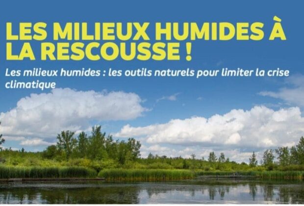 Les milieux humides à la rescousse!