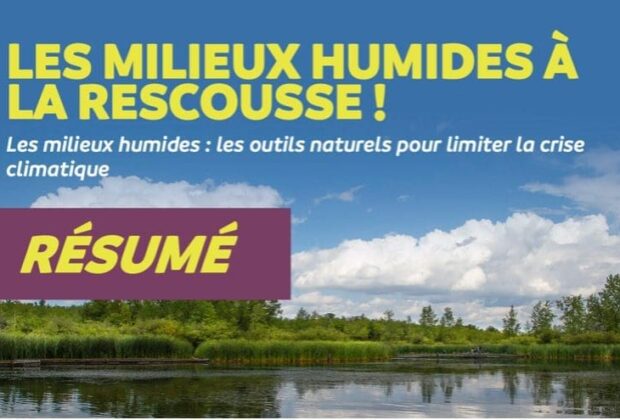 Les milieux humides à la rescousse! – résumé