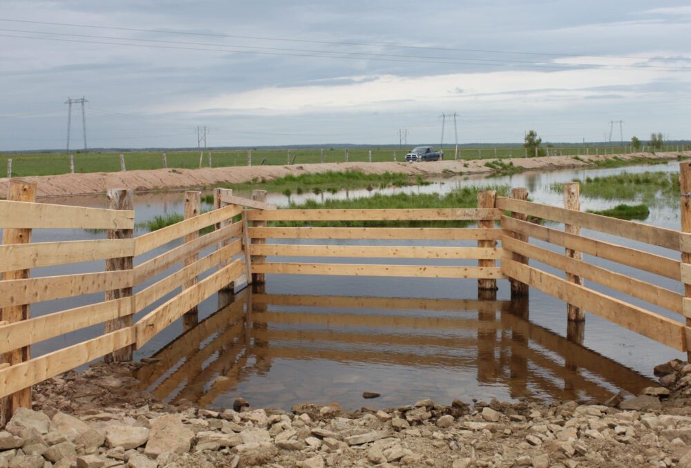 Grâce aux bassins d’irrigation qu’on vient d’aménager, la végétation naturelle peut filtrer et assainir l’eau, ce qui vient enrayer les sécheresses et permettre à la faune indigène de prospérer. On clôture les bassins et on aménage des cales durcies pour permettre au bétail de s’abreuver sans nuire aux milieux humides.
