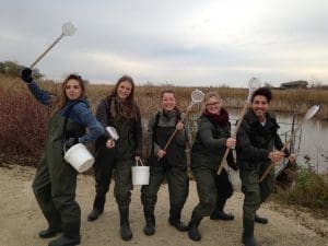 Photo of students