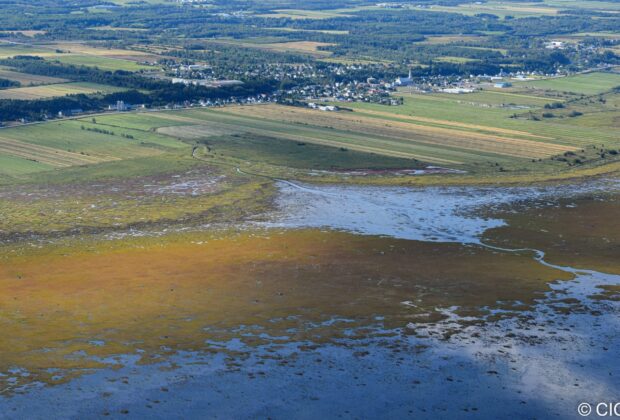Coup d’envoi à la cartographie détaillée des milieux humides du Bas-Saint-Laurent