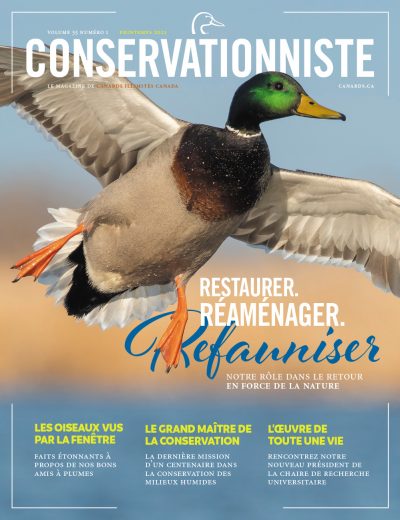 Le Conservationniste
