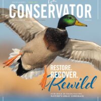 Publiez Une Annonce Dans Le Magazine Conservationniste
