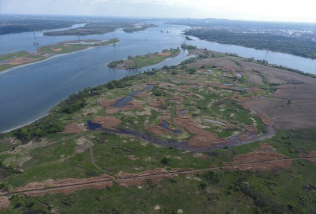 Conservation des milieux humides sur l’île Sainte-Thérèse