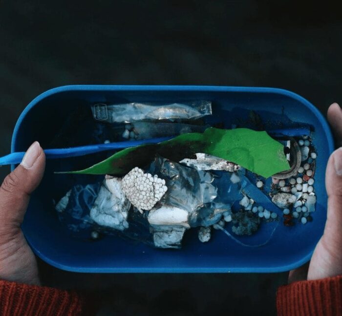 Plastiques ramassés dans les milieux humides de l’île Petrie. 