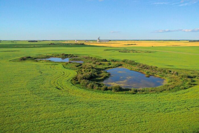 Zones humides des prairies