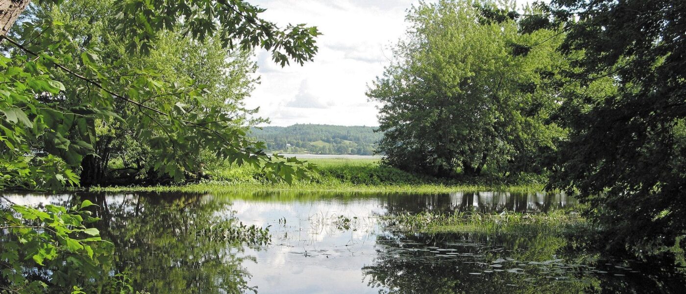 CIC a lancé un projet de conservation de 3 millions de dollars sur 10 ans pour réaménager et restaurer une superficie de 2 000 hectares d’habitat d’eau douce sur les berges de la Wolastoq.