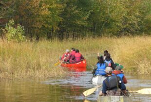 Préserver les milieux humides du Wolastoq