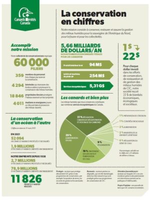 Conservation by the Numbers
