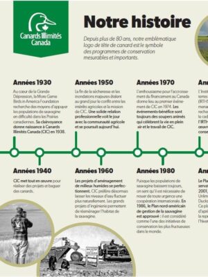 Our History
