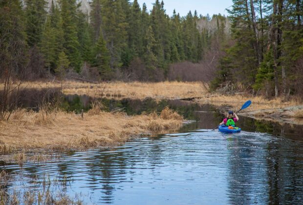 Rapport annuel 2021: Unis dans la conservation