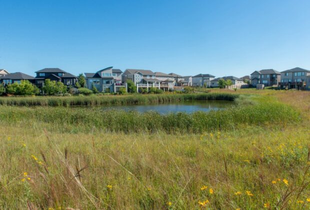 Construire avec la nature pour économiser des coûts et créer de la valeur