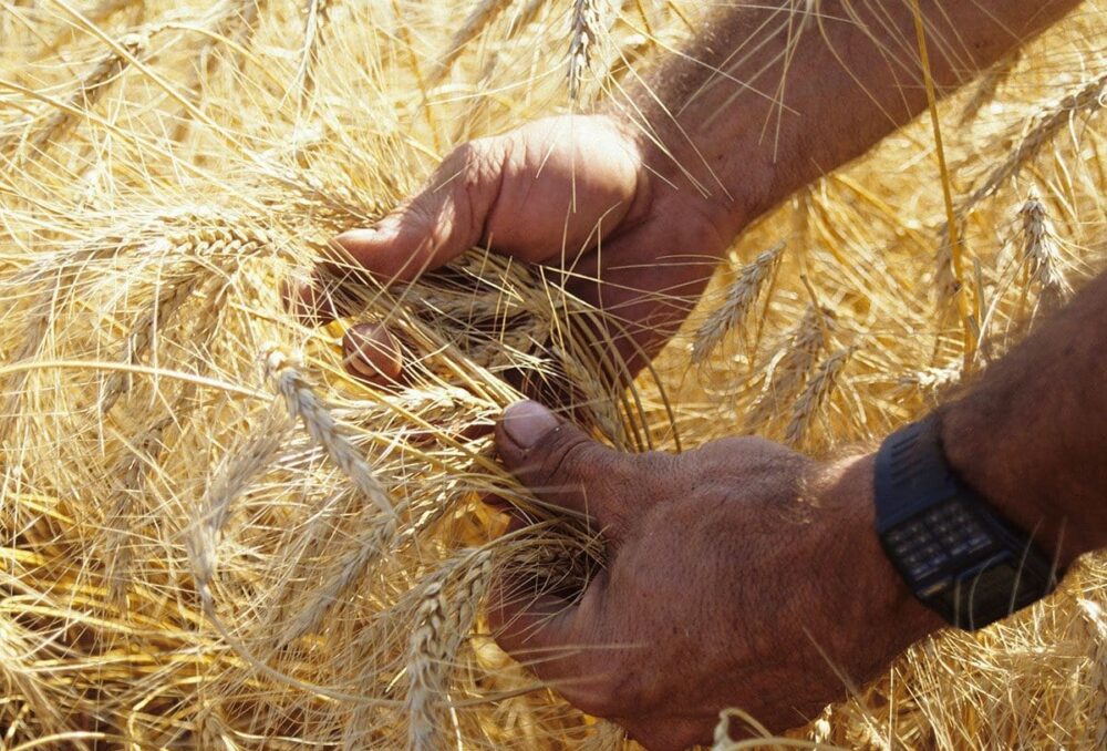 Les grands défis — comme la culture des produits alimentaires tout en protégeant la nature — réclament des idées géniales et audacieuses. 