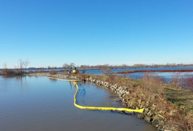 Des travaux de restauration pour rajeunir le marais Hillman sur les rives du lac Érié