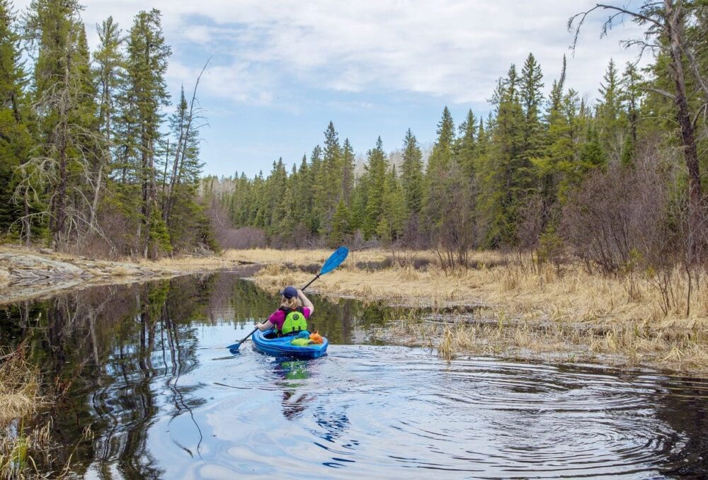 À l’heure où les pays soulignent la Journée mondiale des zones humides, le 2 février 2022, le Canada doit faire davantage pour s’acquitter de ses responsabilités à l’endroit de ces écosystèmes menacés.