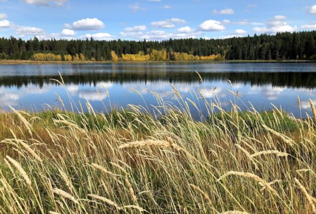 Le projet 148 Mile Marshes permet de lutter contre le changement climatique dans la région de Cariboo en Colombie-Britannique