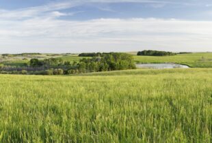 Rapprocher Cowessess et le lac Winnipeg : la bonne intendance fait les grands voisins