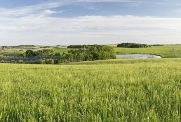 Rapprocher Cowessess et le lac Winnipeg : la bonne intendance fait les grands voisins