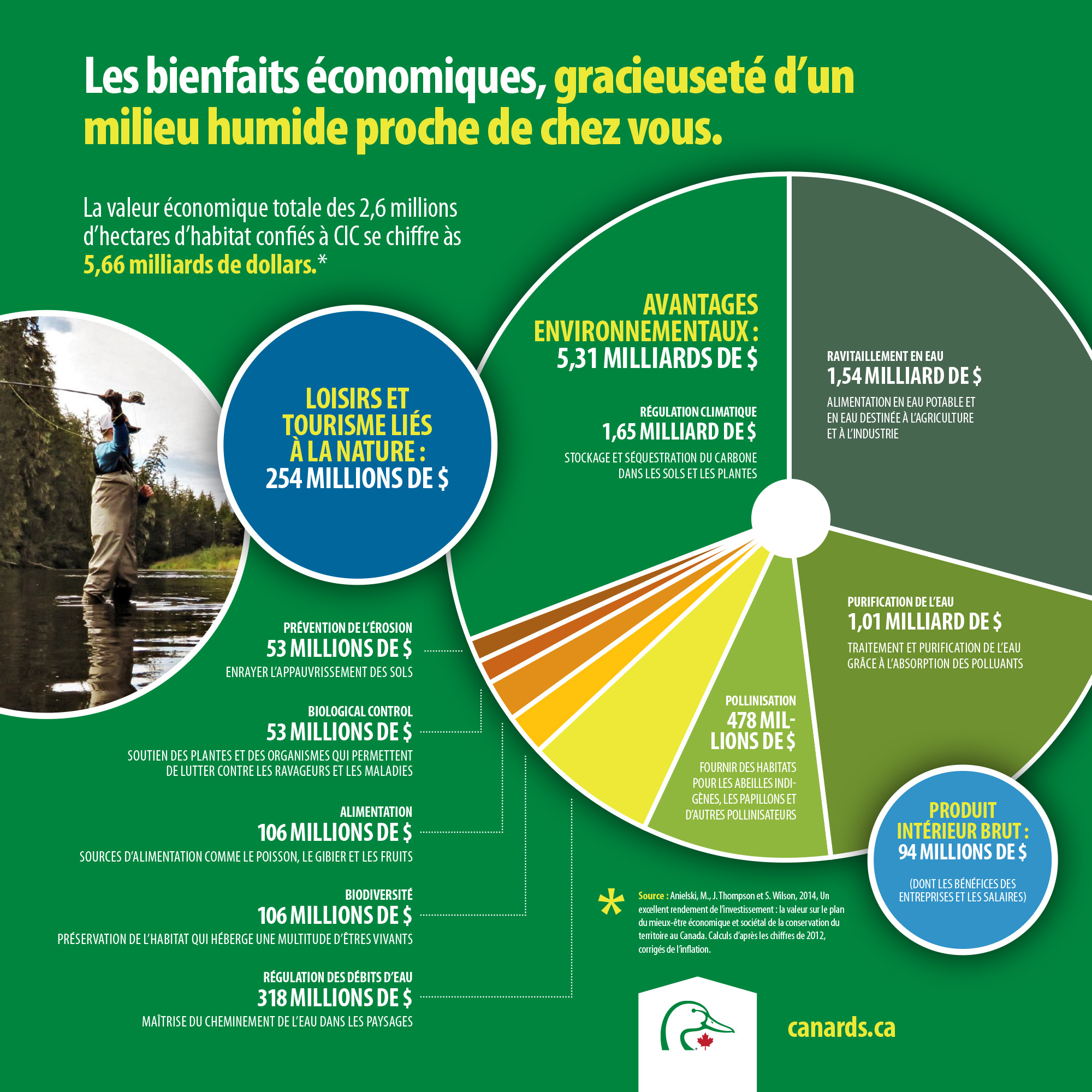 Les bienfaits économiques, gracieuseté d’un milieu humide proche de chez vous.