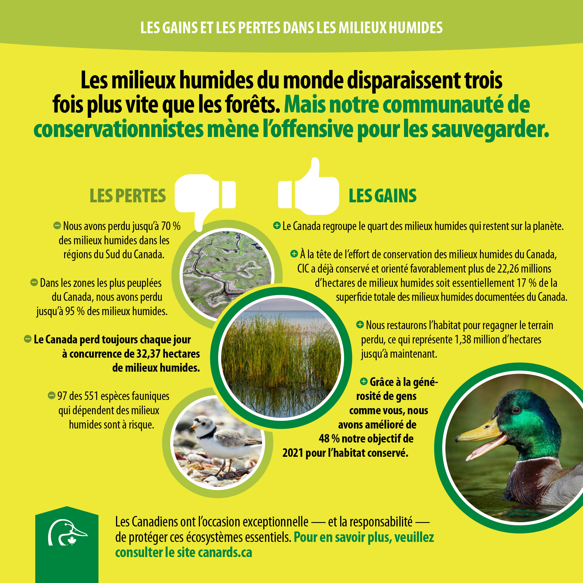 Wetland wins and losses